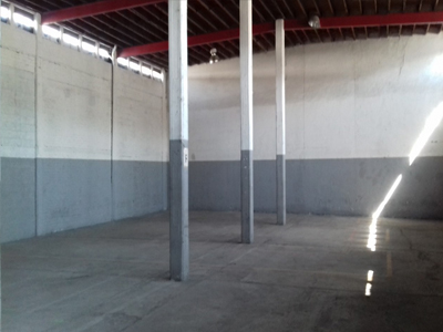 bodega6